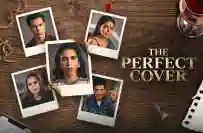 The Perfect Cover