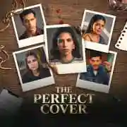 The Perfect Cover